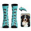 Calcetines Personalizados Perro